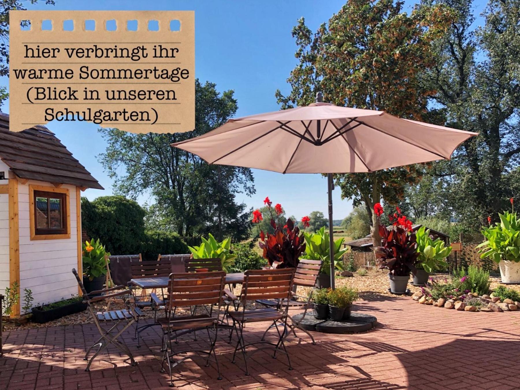 Alte Schule Wittenberg, 3 Ferienwohnungen Fuer Bis Zu 12 Personen, An Der Elbe, Mit Garten Extérieur photo