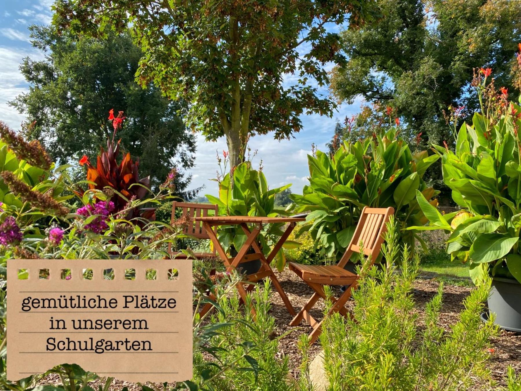 Alte Schule Wittenberg, 3 Ferienwohnungen Fuer Bis Zu 12 Personen, An Der Elbe, Mit Garten Extérieur photo