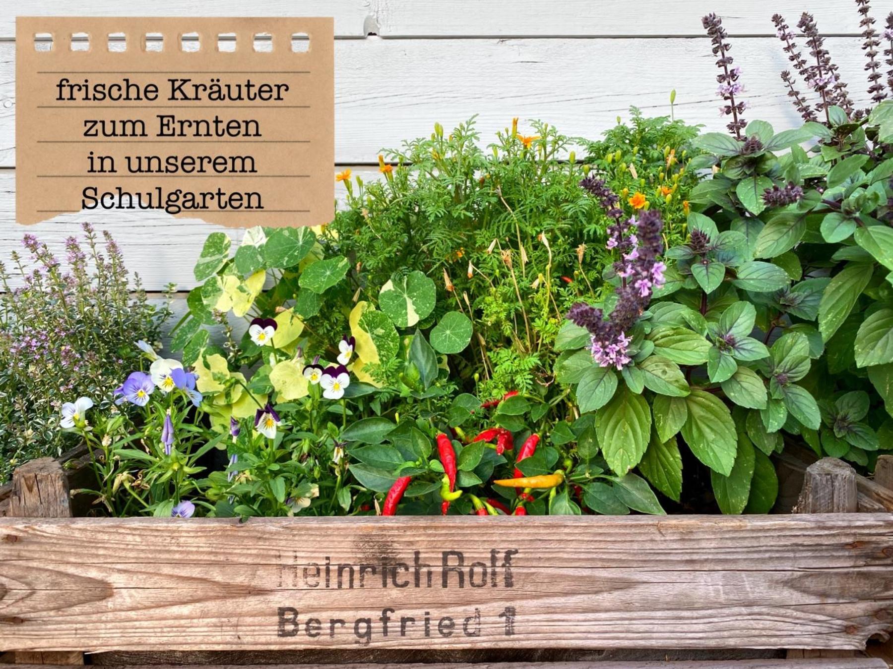 Alte Schule Wittenberg, 3 Ferienwohnungen Fuer Bis Zu 12 Personen, An Der Elbe, Mit Garten Extérieur photo