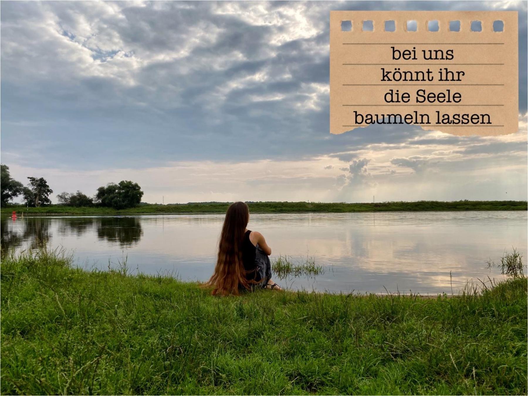 Alte Schule Wittenberg, 3 Ferienwohnungen Fuer Bis Zu 12 Personen, An Der Elbe, Mit Garten Extérieur photo