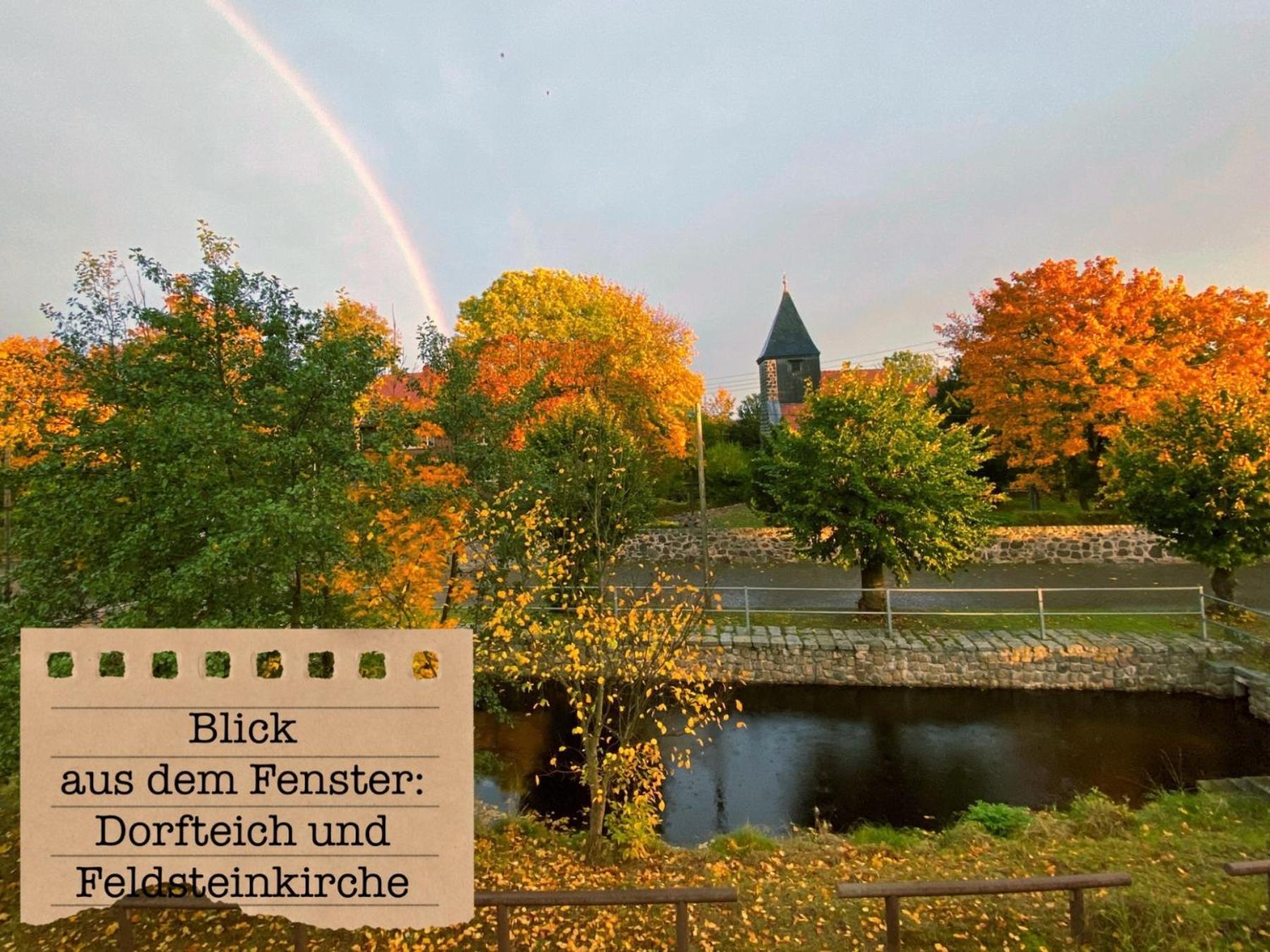 Alte Schule Wittenberg, 3 Ferienwohnungen Fuer Bis Zu 12 Personen, An Der Elbe, Mit Garten Extérieur photo