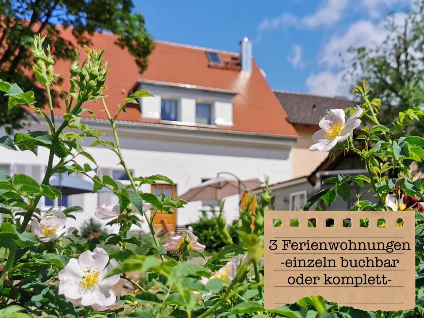 Alte Schule Wittenberg, 3 Ferienwohnungen Fuer Bis Zu 12 Personen, An Der Elbe, Mit Garten Extérieur photo