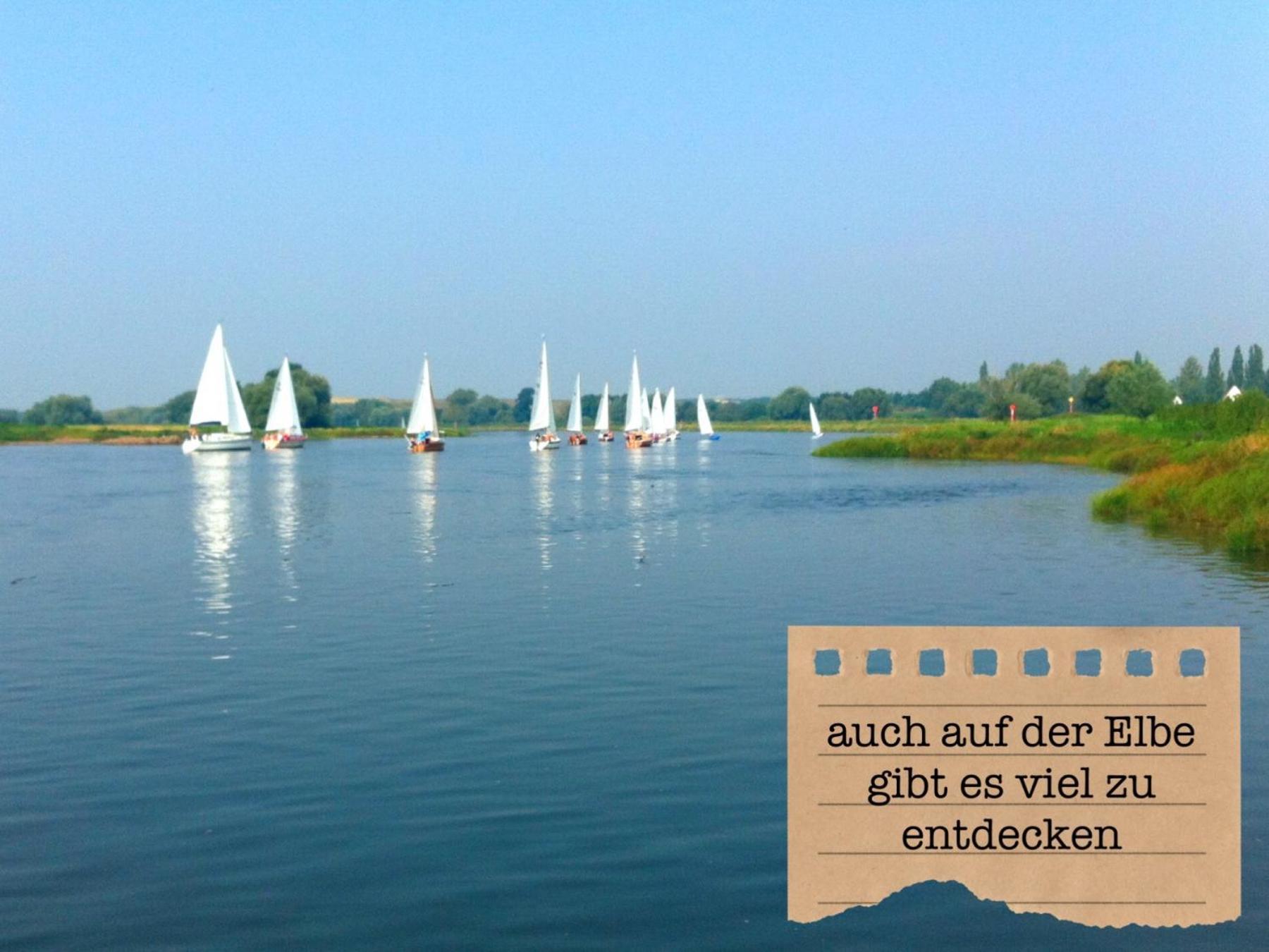 Alte Schule Wittenberg, 3 Ferienwohnungen Fuer Bis Zu 12 Personen, An Der Elbe, Mit Garten Extérieur photo