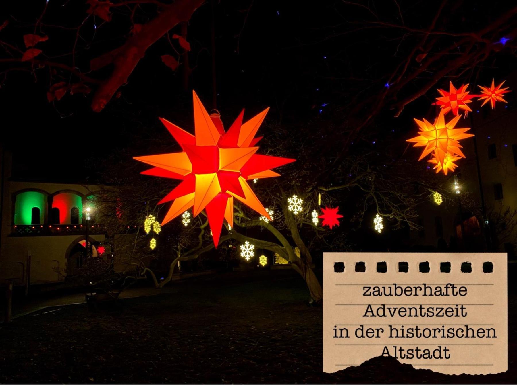 Alte Schule Wittenberg, 3 Ferienwohnungen Fuer Bis Zu 12 Personen, An Der Elbe, Mit Garten Extérieur photo