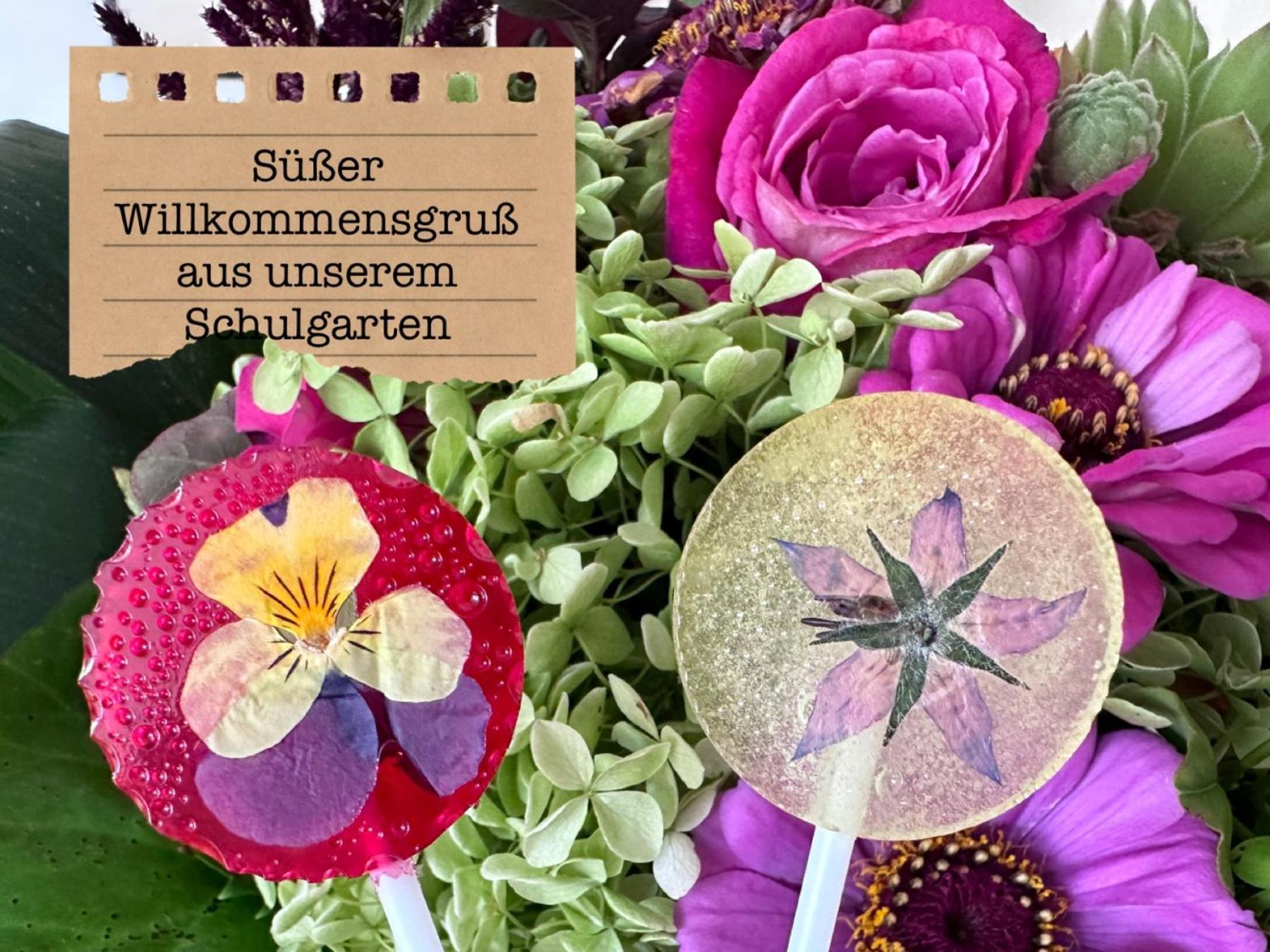 Alte Schule Wittenberg, 3 Ferienwohnungen Fuer Bis Zu 12 Personen, An Der Elbe, Mit Garten Extérieur photo